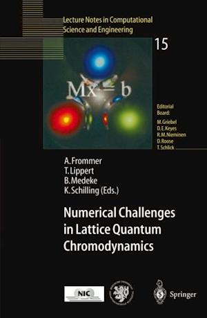 Numerical Challenges in Lattice Quantum Chromodynamics