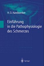 Einführung in die Pathophysiologie des Schmerzes