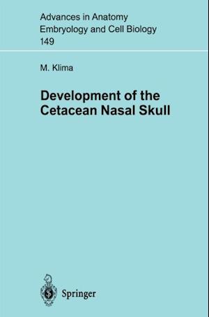 Development of the Cetacean Nasal Skull