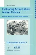 Evaluating Active Labour Market Policies