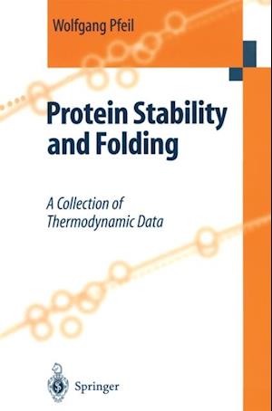 Protein Stability and Folding