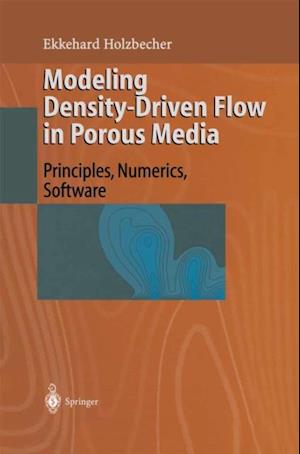 Modeling Density-Driven Flow in Porous Media