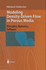 Modeling Density-Driven Flow in Porous Media