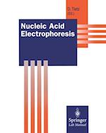 Nucleic Acid Electrophoresis