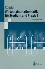 Wirtschaftsmathematik für Studium und Praxis 1