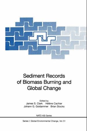 Sediment Records of Biomass Burning and Global Change