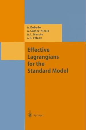 Effective Lagrangians for the Standard Model