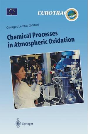 Chemical Processes in Atmospheric Oxidation