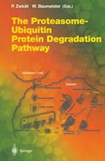 Proteasome - Ubiquitin Protein Degradation Pathway