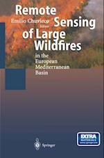 Remote Sensing of Large Wildfires