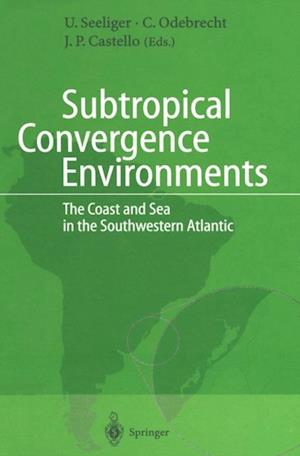 Subtropical Convergence Environments