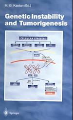 Genetic Instability and Tumorigenesis