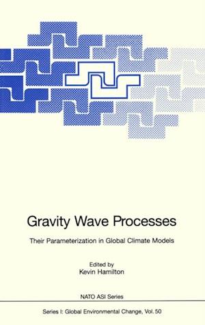 Gravity Wave Processes