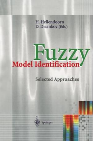 Fuzzy Model Identification