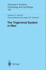 Trigeminal System in Man