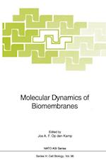 Molecular Dynamics of Biomembranes