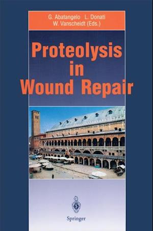 Proteolysis in Wound Repair