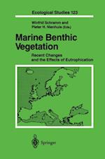 Marine Benthic Vegetation