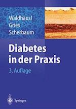 Diabetes in Der Praxis