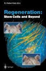 Regeneration: Stem Cells and Beyond