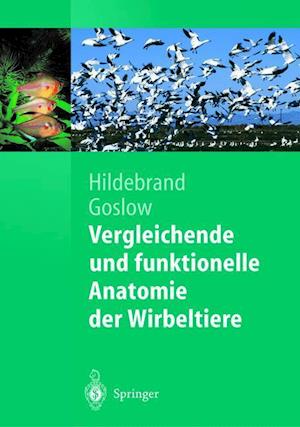 Vergleichende und funktionelle Anatomie der Wirbeltiere