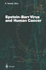 Epstein-Barr Virus and Human Cancer
