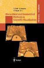 Hierarchical and Geometrical Methods in Scientific Visualization