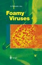 Foamy Viruses