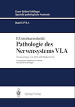 Pathologie des Nervensystems VI.A