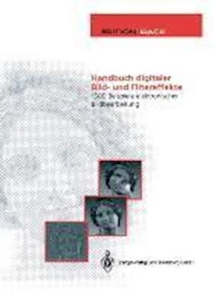 Handbuch Digitaler Bild- Und Filtereffekte