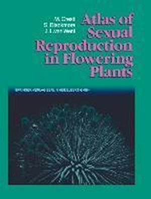 Atlas of Sexual Reproduction in Flowering Plants