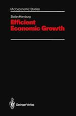 Efficient Economic Growth