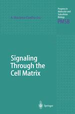 Signaling Through the Cell Matrix