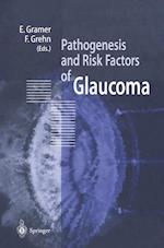 Pathogenesis and Risk Factors of Glaucoma