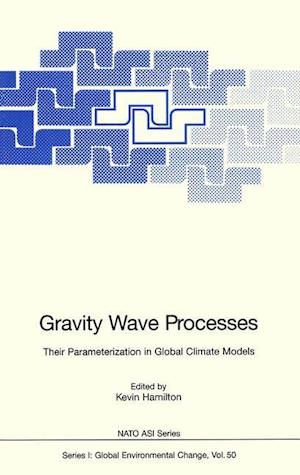 Gravity Wave Processes