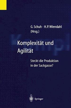 Komplexität Und Agilität