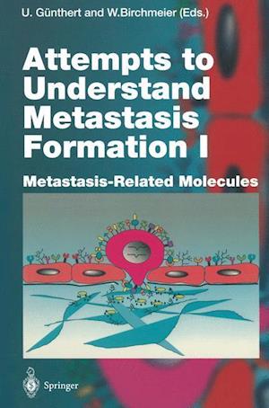 Attempts to Understand Metastasis Formation I