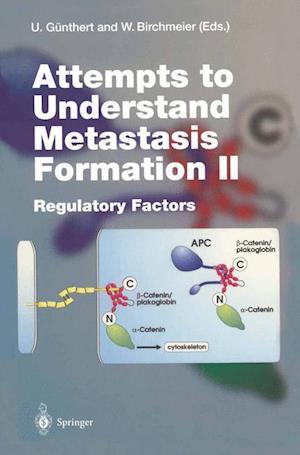 Attempts to Understand Metastasis Formation II