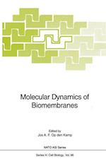 Molecular Dynamics of Biomembranes