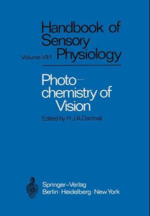 Photochemistry of Vision