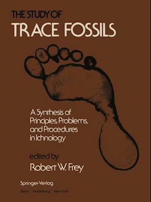 Study of Trace Fossils