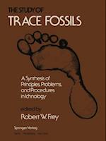 Study of Trace Fossils