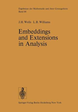 Embeddings and Extensions in Analysis