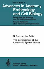 Development of the Lymphatic System in Man