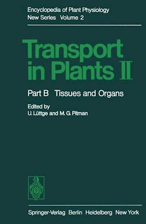 Transport in Plants II