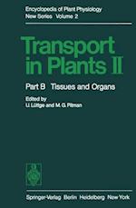 Transport in Plants II