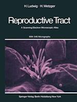 Human Female Reproductive Tract