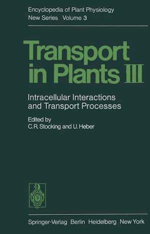 Transport in Plants III