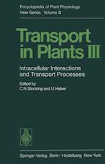 Transport in Plants III