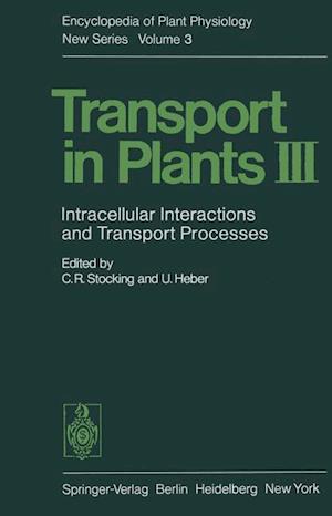 Transport in Plants III